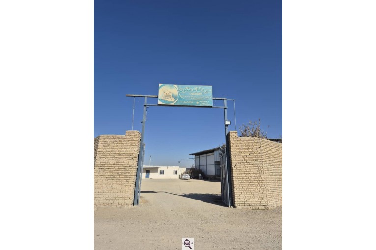 سردخانه سیب زمینی مفتون در همدان 