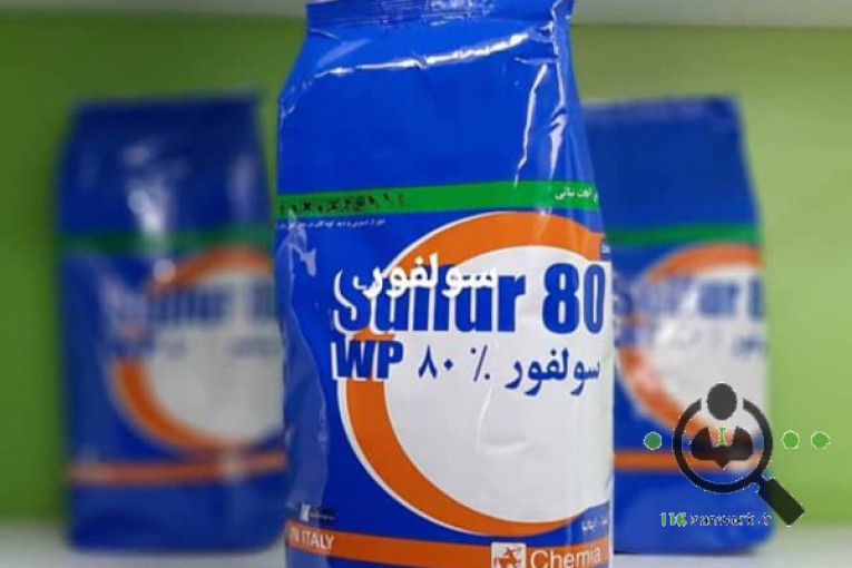 شرکت نهاد های کشاورزی پورنیک رویش پارس در شیراز