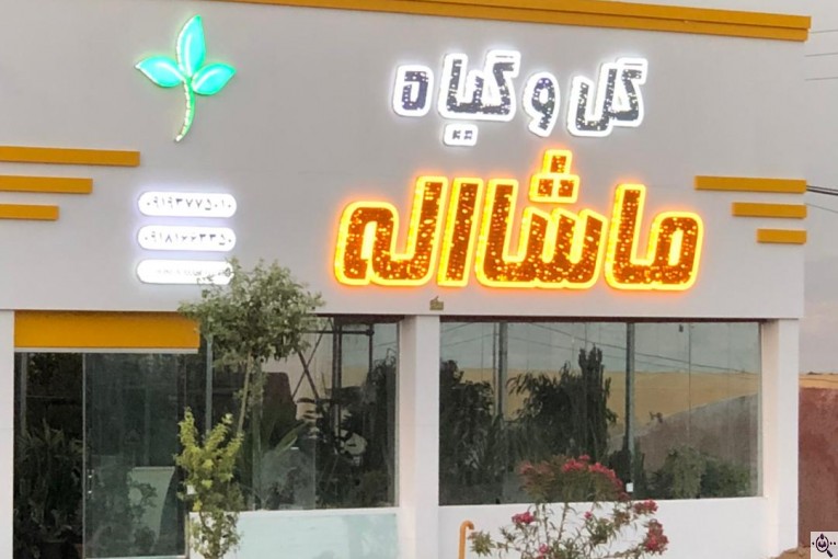 مجموعه گل و گیاه ماشالله در محلات