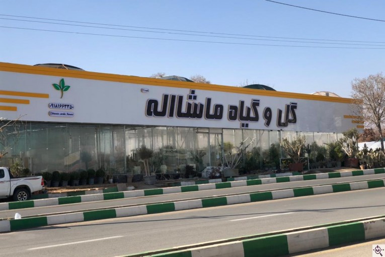 مجموعه گل و گیاه ماشالله در محلات