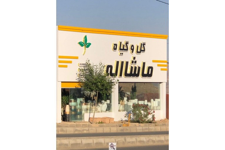 مجموعه گل و گیاه ماشالله در محلات