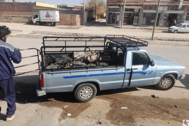 اتاق سازی علی در کرمان