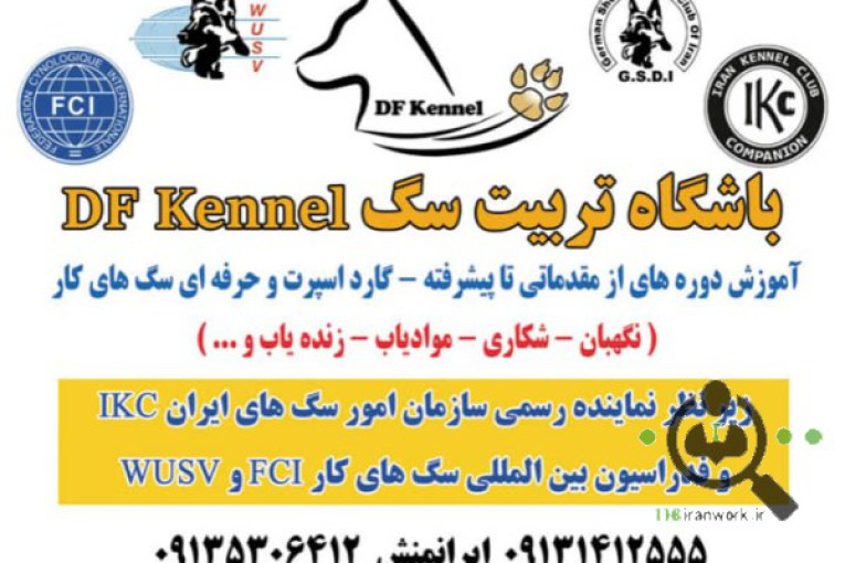 مدرسه آموزش سگهای کار Df_k9_kennel در کرمان