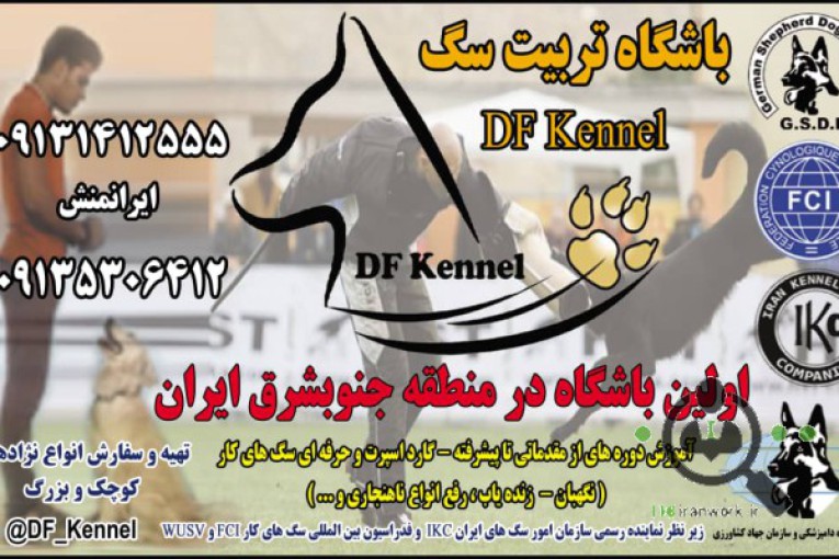 مدرسه آموزش سگهای کار Df_k9_kennel در کرمان