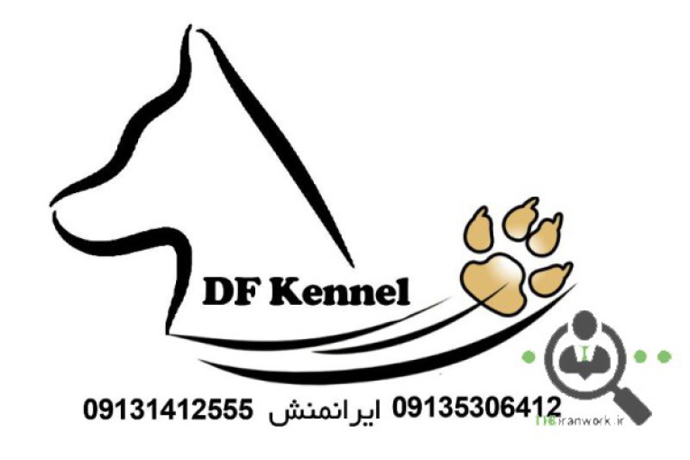 مدرسه آموزش سگهای کار Df_k9_kennel در کرمان