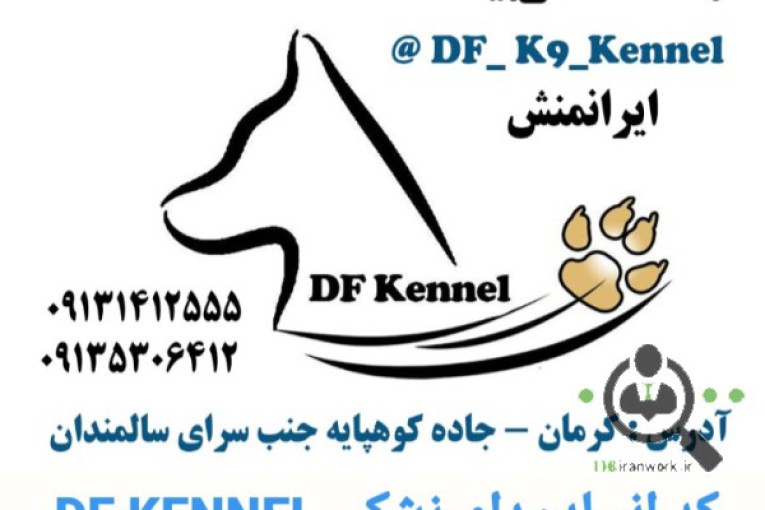 مدرسه آموزش سگهای کار Df_k9_kennel در کرمان