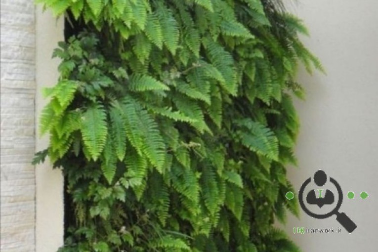 شرکت سبز پوشان آریا در تهران