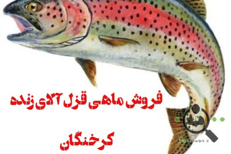 تکثیر ماهی قزل آلا هاشمی در یزد