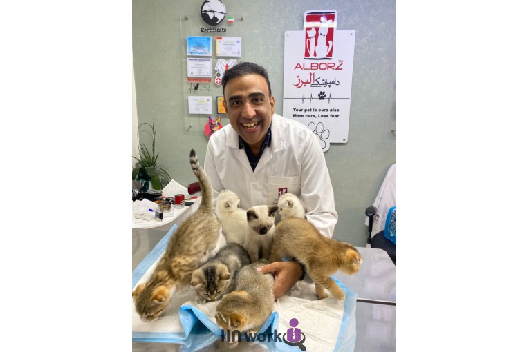 کلینیک دامپزشکی البرز در ولنجک