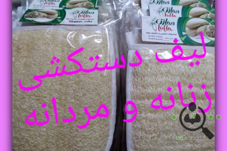 پرورش و تولید گیاه لوفا لایه بردار پوست در رشت