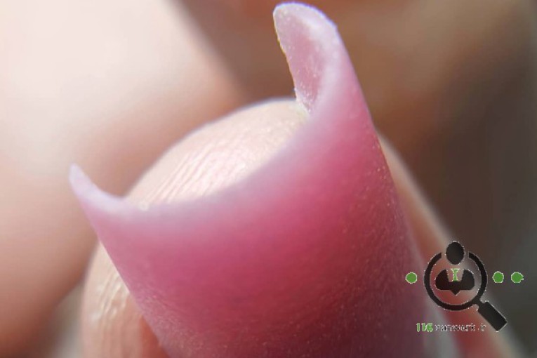 آموزش کاشت ناخن الهام عراقیان در اصفهان