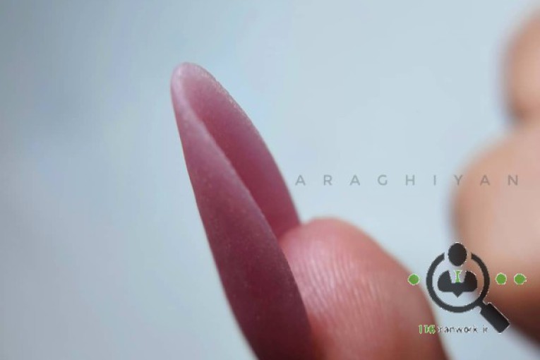 آموزش کاشت ناخن الهام عراقیان در اصفهان