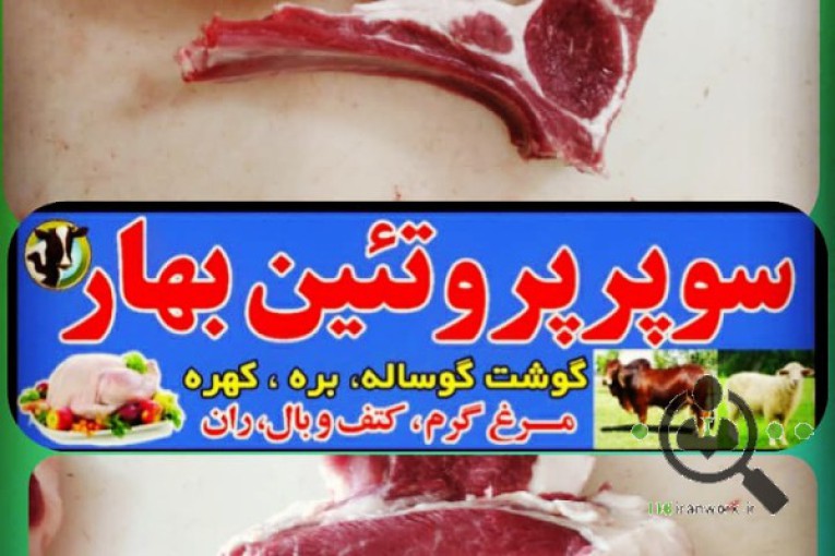 فروشگاه سوپر پروتئین بهار در سپیدان