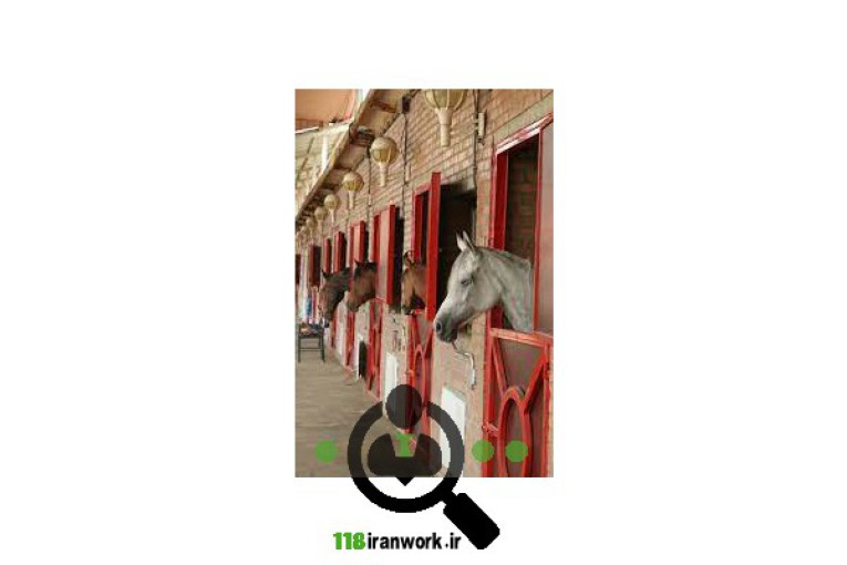 باشگاه سوارکاری فریاد در یزد