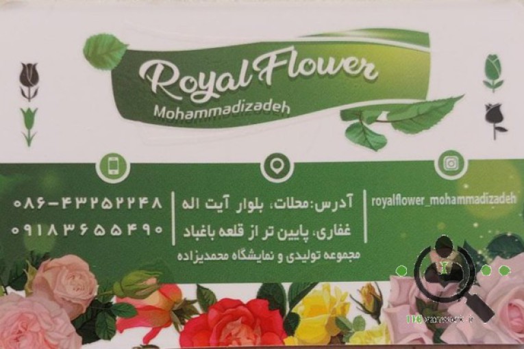 مجموعه تولیدی رویال فلاور در محلات