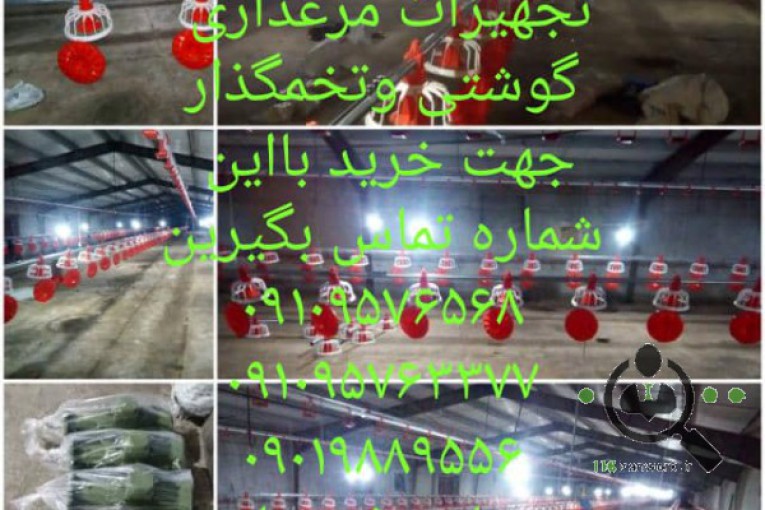 تجهیزات مرغداری نازین صنعت فقیه لو در قزوین