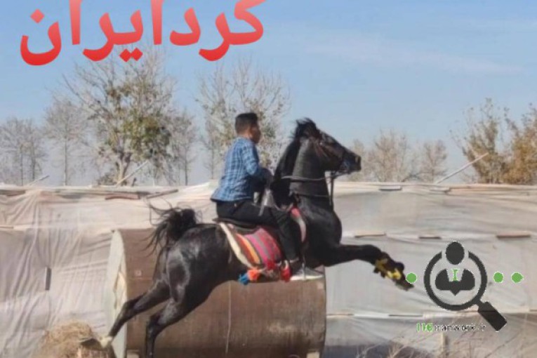 پرورش اسب کانیار در فلاورجان