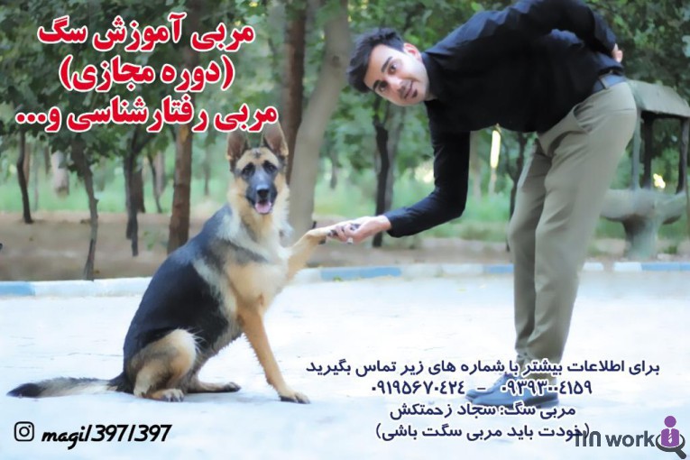 آموزش سگ و پت شاپ مگی در مازندران