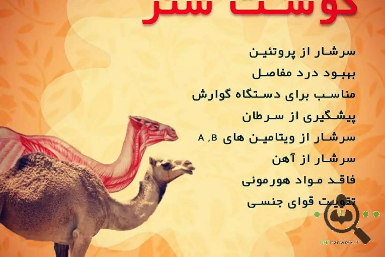 سوپر گوشت دشت اتحادیه خبریز در شیراز