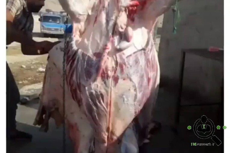 سوپر گوشت دشت اتحادیه خبریز در شیراز