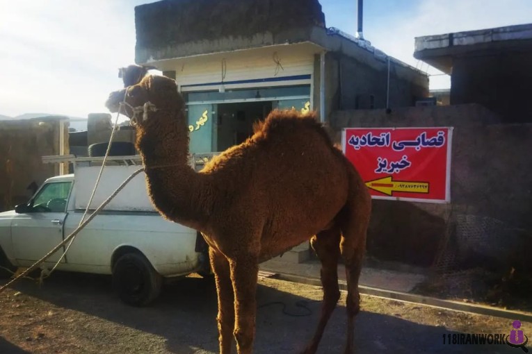 سوپر گوشت دشت اتحادیه خبریز در شیراز