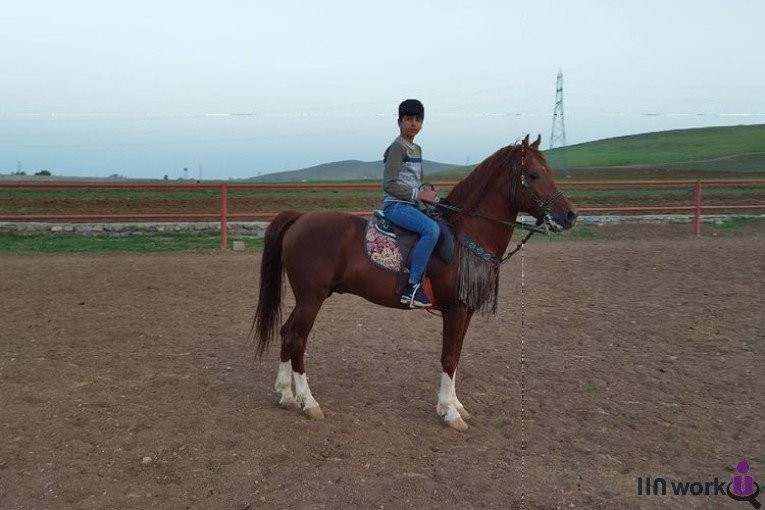 باشگاه سوارکاری ماهان در کرمانشاه