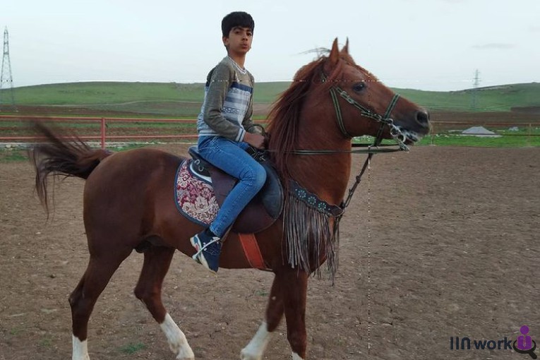 باشگاه سوارکاری ماهان در کرمانشاه