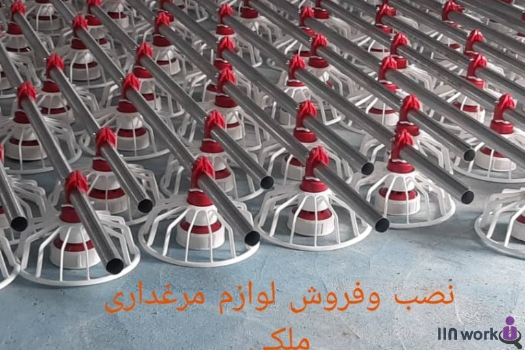 تجهیزات مرغداری ملکی در قزوین 