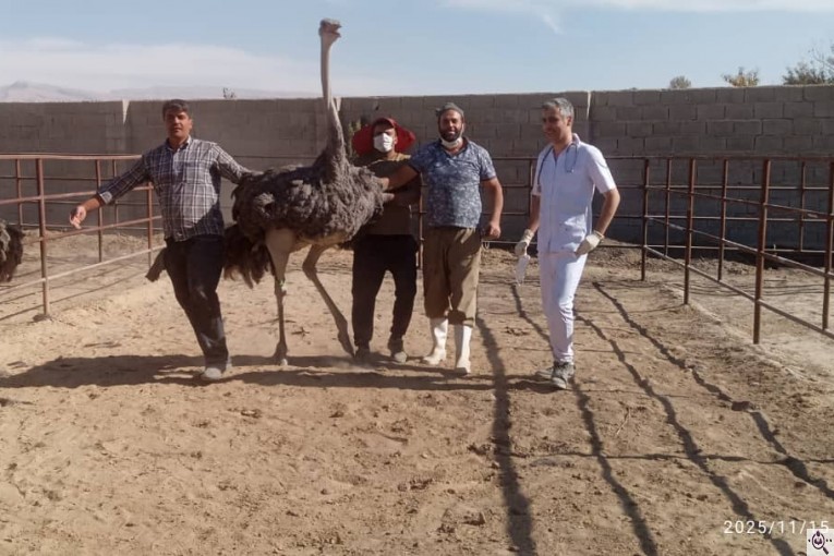 شرکت آروین پخش شایسته در شیراز