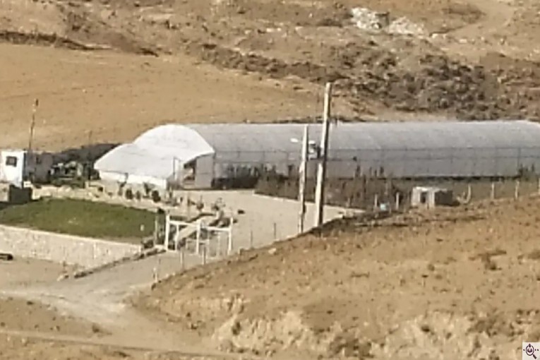 نهالستان تخصصی مهندس اشکان حمیدوند در نهاوند