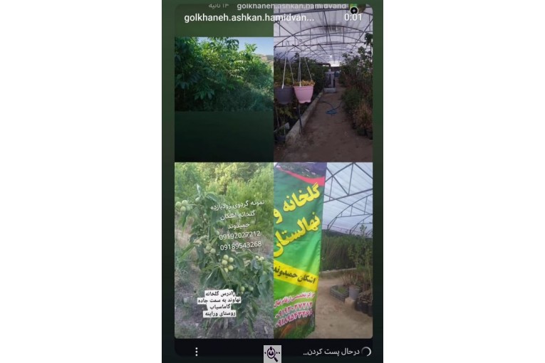 نهالستان تخصصی مهندس اشکان حمیدوند در نهاوند