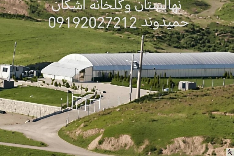 نهالستان تخصصی مهندس اشکان حمیدوند در نهاوند