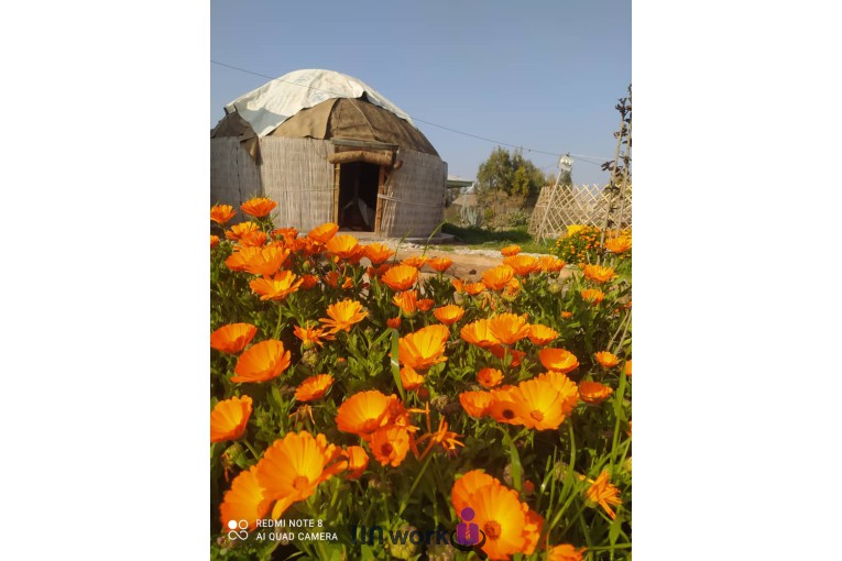 اقامتگاه بومگردی یمگو در گمیشان