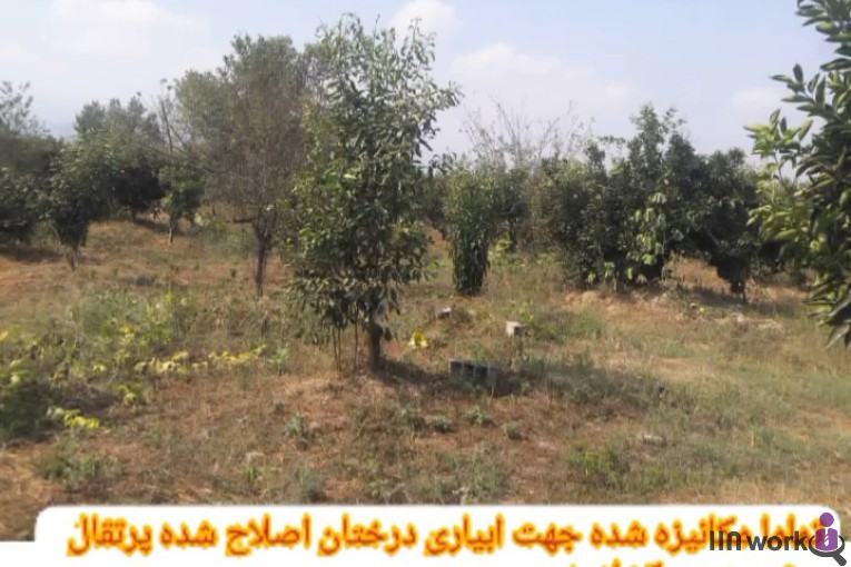 املاک باران در املش