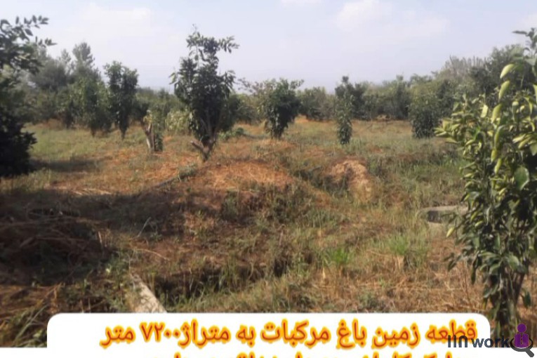 املاک باران در املش