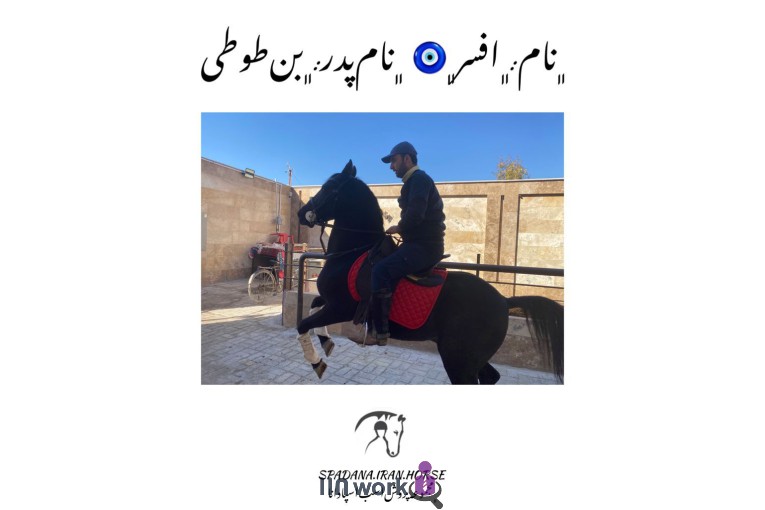 پرورش اسب اسپادانا در اصفهان