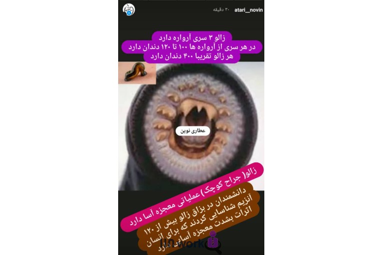 عطاری نوین در بابل