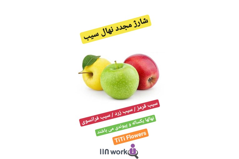 گل و گیاه تی تی گل در لاهیجان