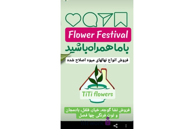 گل و گیاه تی تی گل در لاهیجان