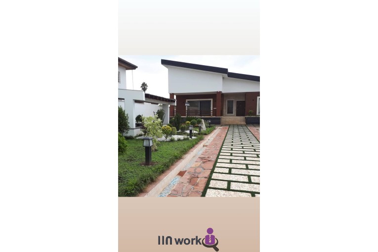 گل و گیاه تی تی گل در لاهیجان