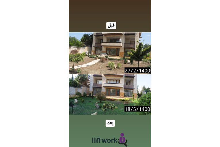 گل و گیاه تی تی گل در لاهیجان