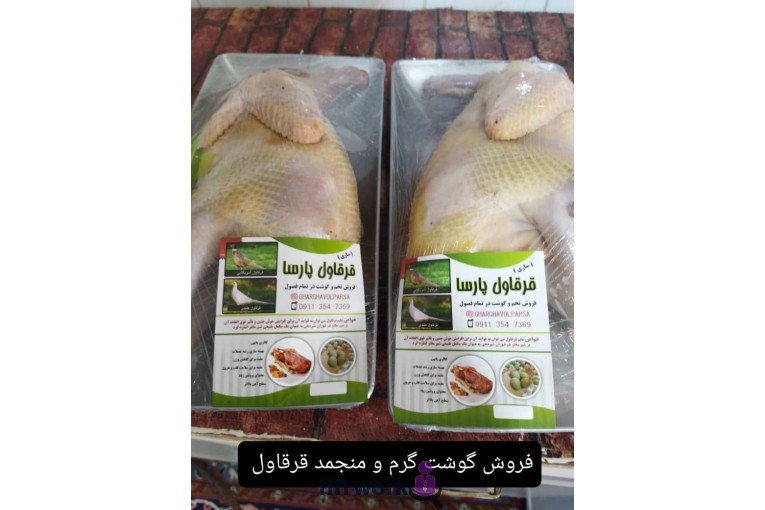 پرورش قرقاول پارسا در ساری