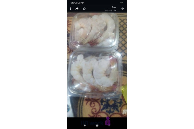 خرید و فروش و پخش ماهی روبیان مارکت در قشم