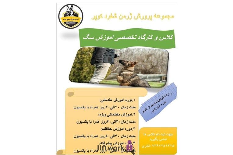باشگاه آموزش و پرورش سگ داکوتا در مشهد