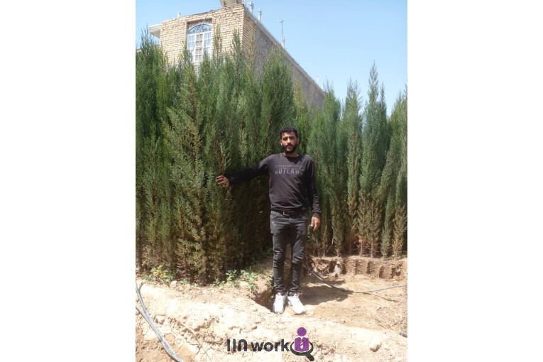 نهالستان مهندس میری در جهرم