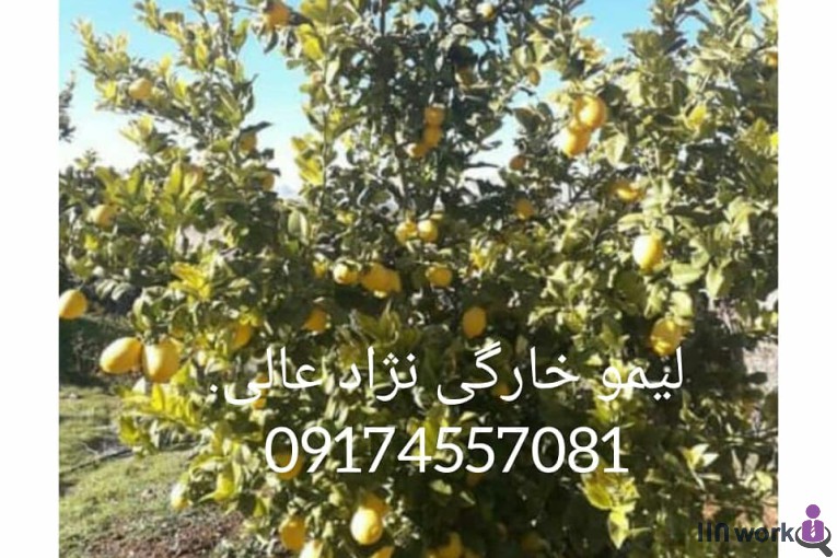 نهالستان مهندس میری در جهرم
