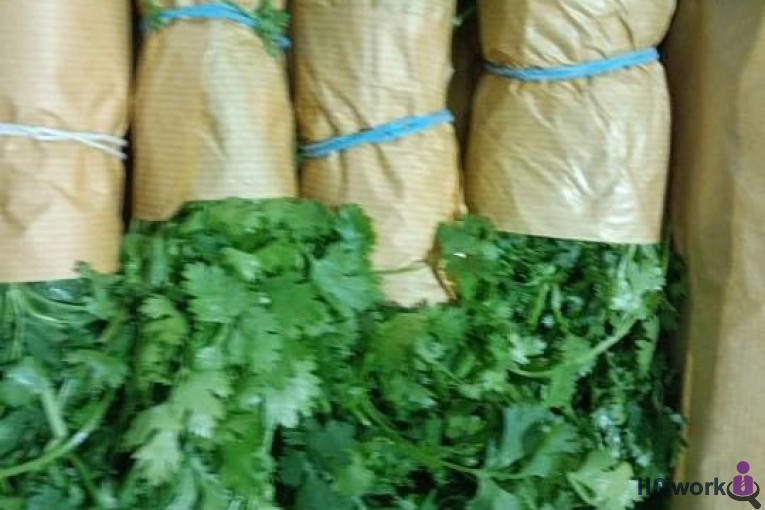 فروش میوه و تره بار الماسی در تهران