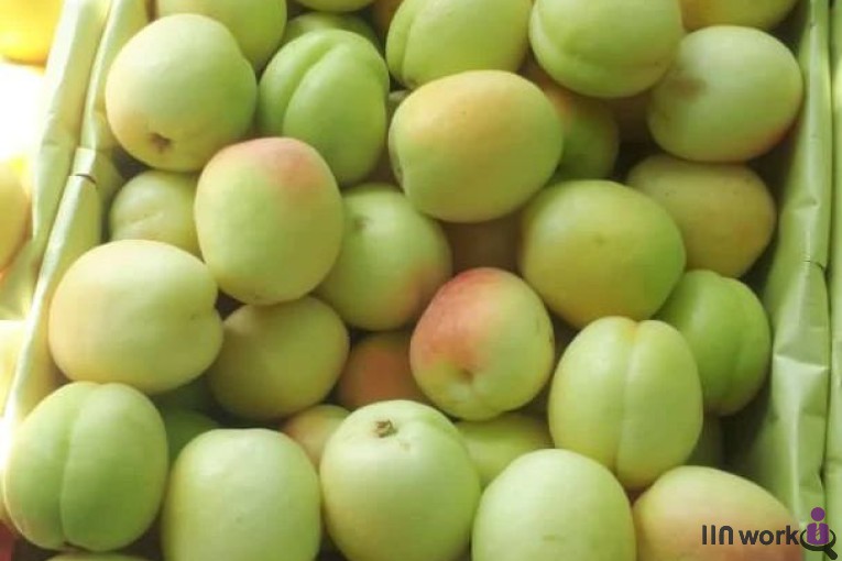 فروش میوه و تره بار الماسی در تهران