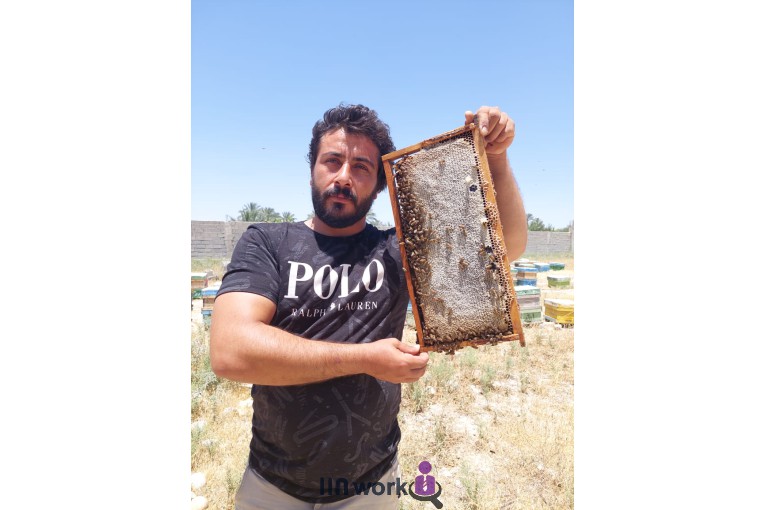 زنبورداری پادنای زیبا در اصفهان
