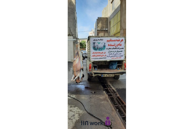 عرضه مستقیم دام زنده قصاب مجتبی رحیمی در ری